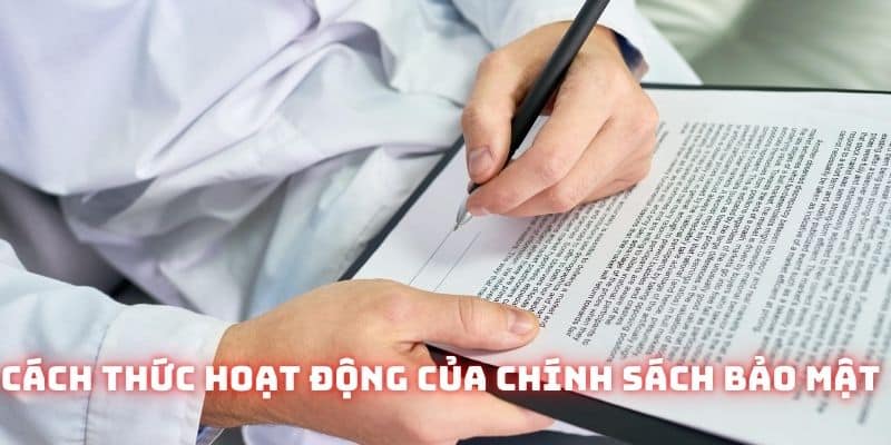 Đọc kỹ nghĩa vụ người chơi được quy định tại điều khoản và điều kiện