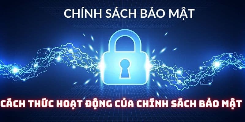 Nắm vững cách thức hoạt động của của chính sách tại 777LOC